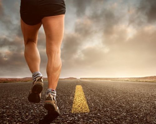 Cowardice and Perseverance